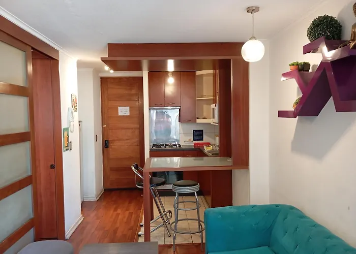Departamento Con Encanto Cerca De Bellas Artes Y Lastarria